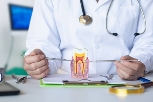 Best Emergency Denture Repair in Bend, OR